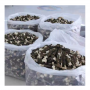New Season Supplying Great Texture Dry Morel Morchella Mushroom