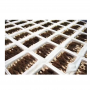  Good Quality Fresh Natural Stem Wild Morel Morchella Conica Mushroom 