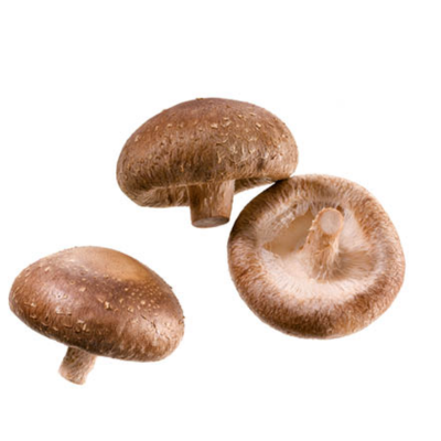 Fresh Shiitake Mushroom