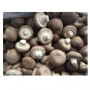 Xieda  Fresh Shiitake Mushroom 