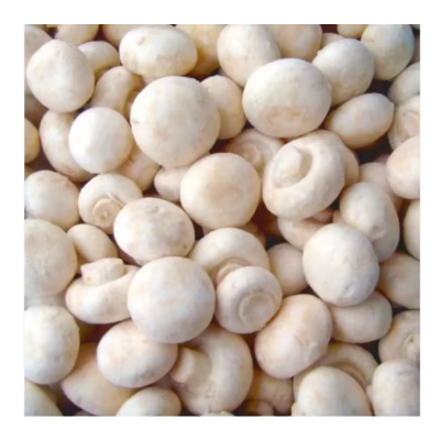 Frozen White Button Mushroom
