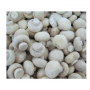 High quality mushrooms manufactured in factories with Xieda Frozen White button mushroom