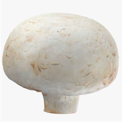Fresh White Button Mushroom