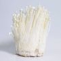 Xieda China Export High Quality Fresh Enoki Mushroom 