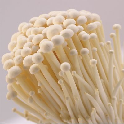 Fresh-Enoki-Mushroom